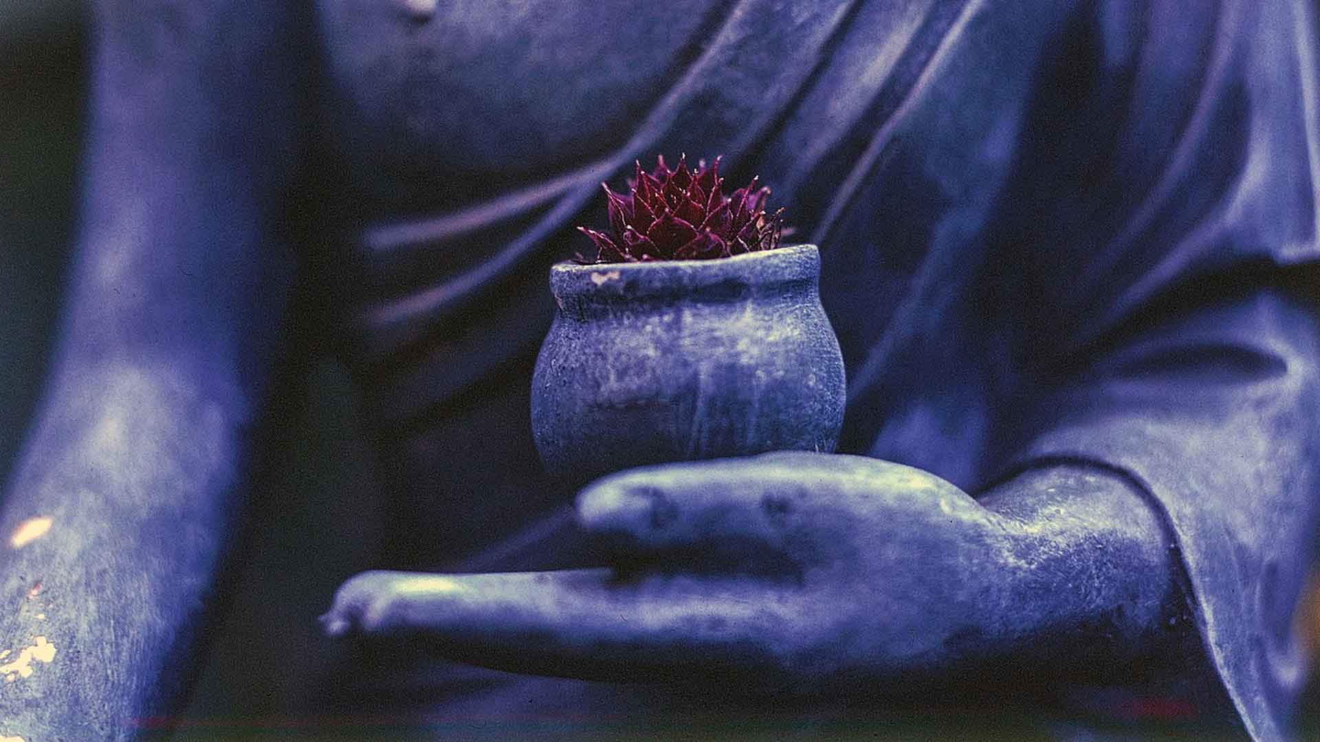 Wu Wei: Leicht und mühelos loslassen, Buddha Skulptur